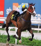 Easy Man (Joao Moreira) stamps his authority on the way to his only win in June 2012.<br>Photo by Singapore Turf Club